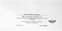Peronospora stachydis image